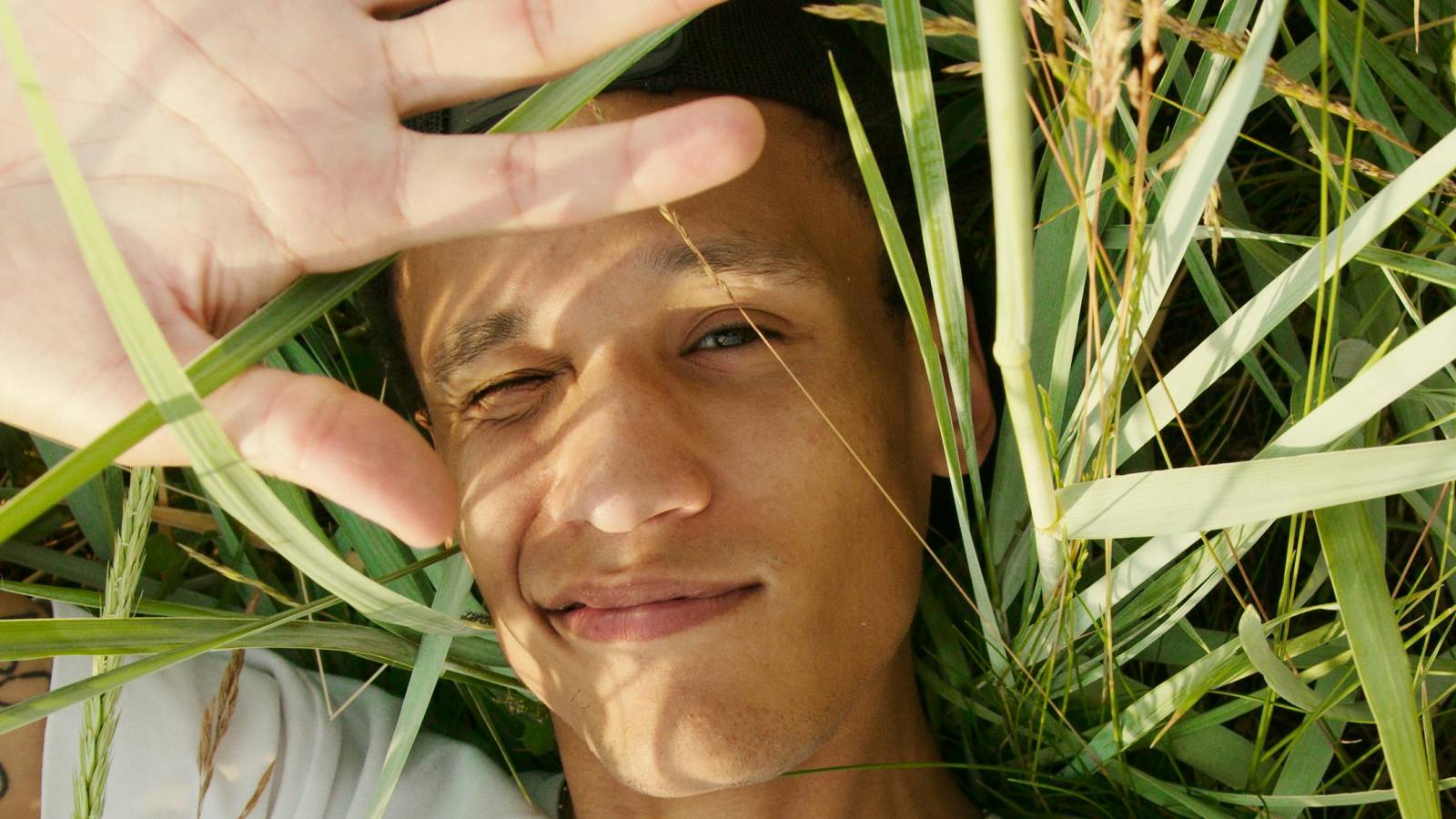 Placeholder image for the Habits page