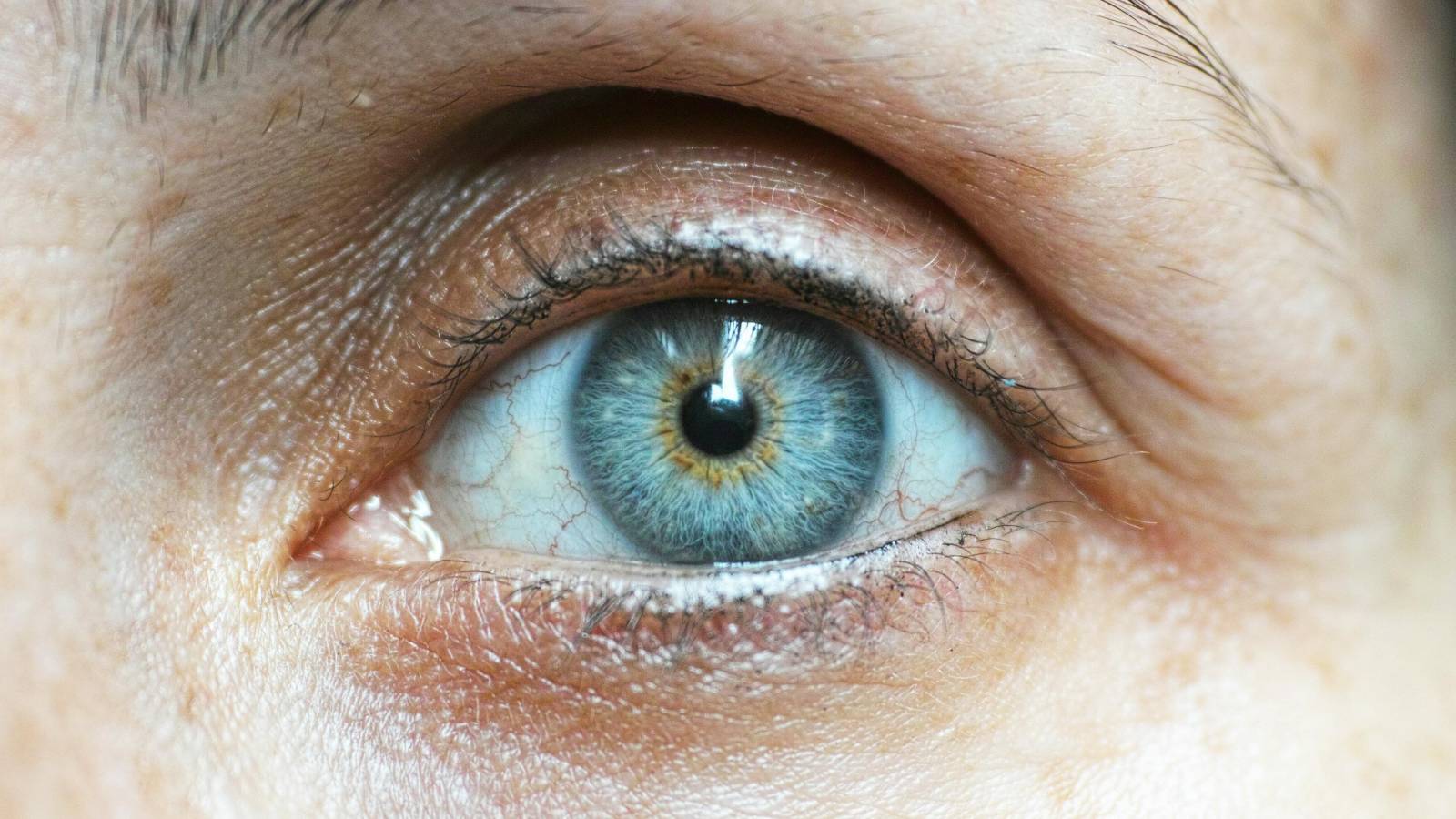 LASIK and PRK refractive surgery (placeholder)